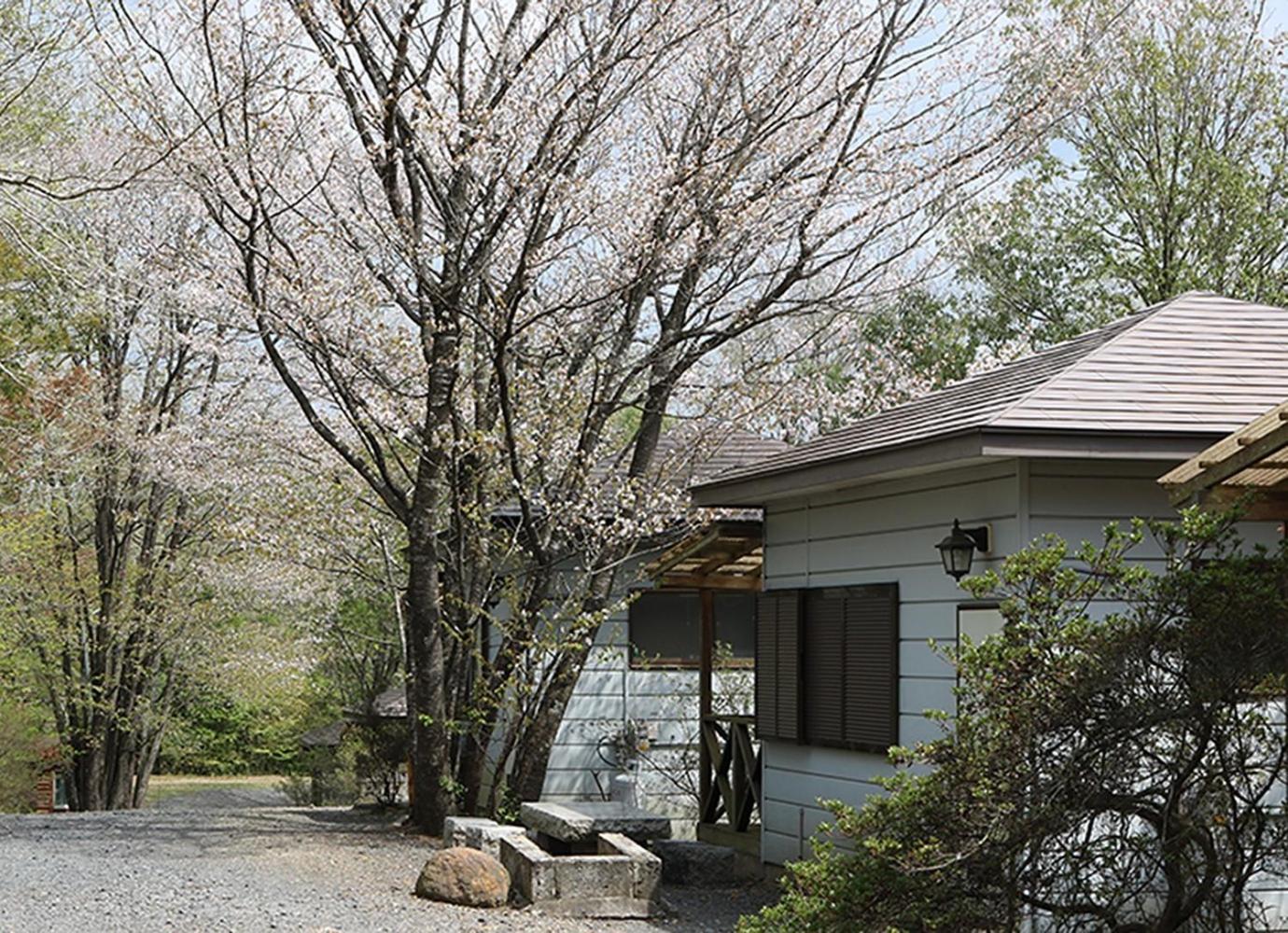 Washinosu Campground - Vacation Stay 85295V Motegi Extérieur photo